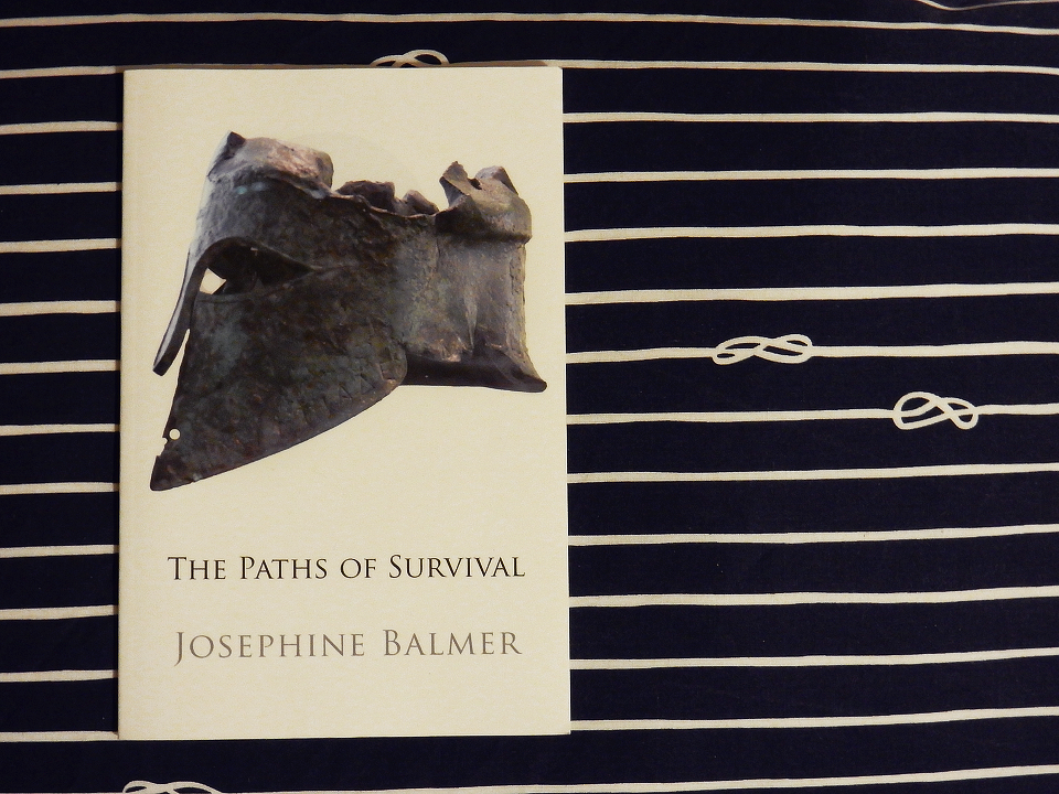 A photo of a book on a blue and white striped background. The book has a white background and a photo of a battle helmet. Text: The Paths of Survival. Josephine Balmer.